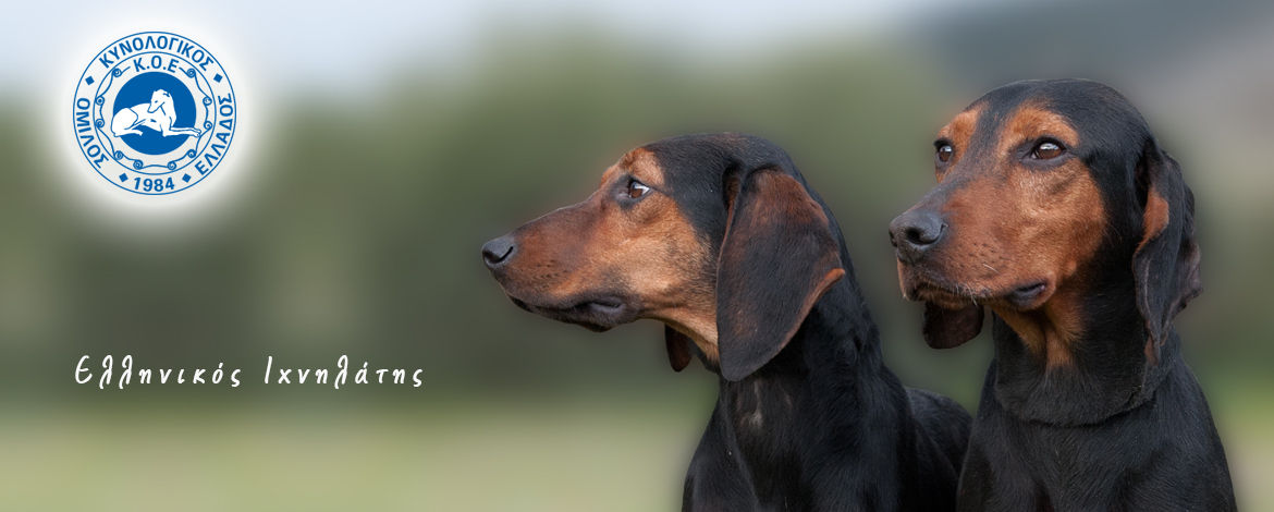 Ελληνικός Ιχνηλάτης
